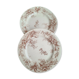 Salins earthenware plates, fer terre