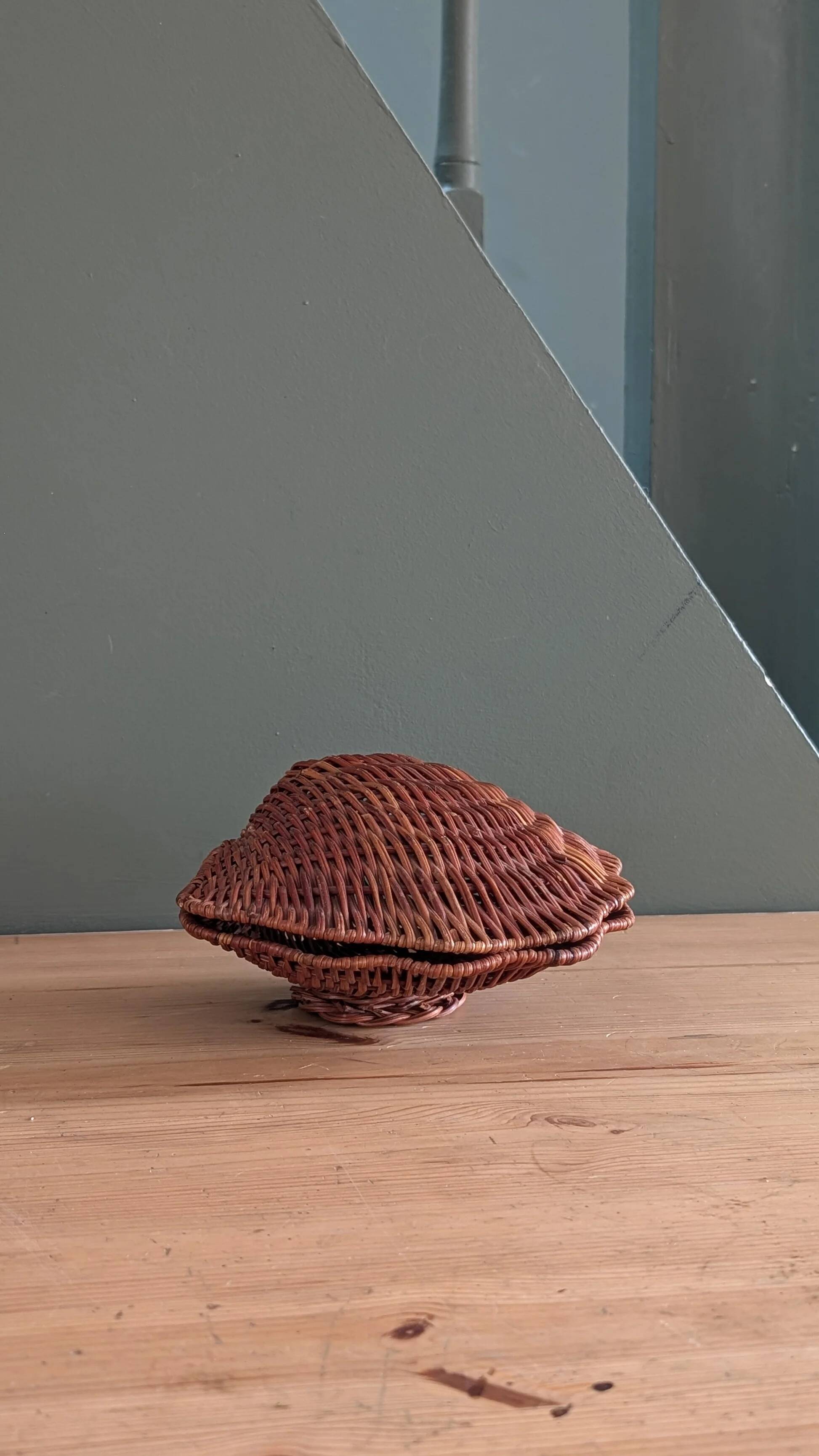 Boîte coquillage vintage en osier tressé