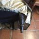 Pair of Napoleon III toad armchairs