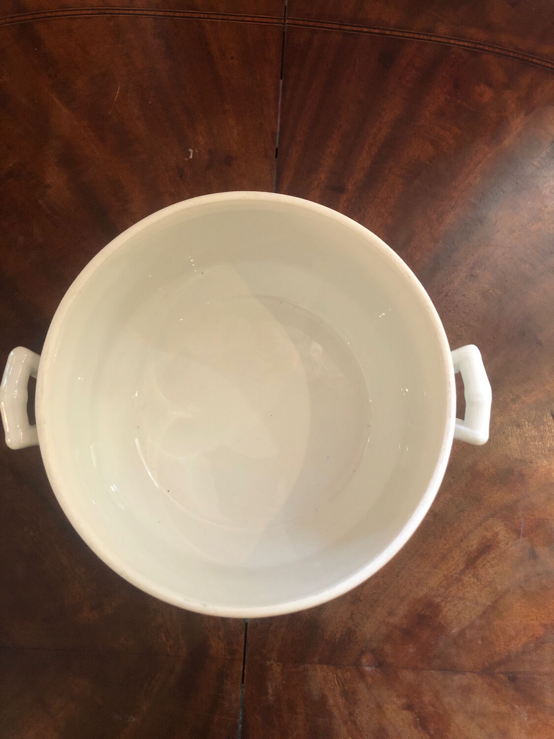 Vegetable porcelain Apilco