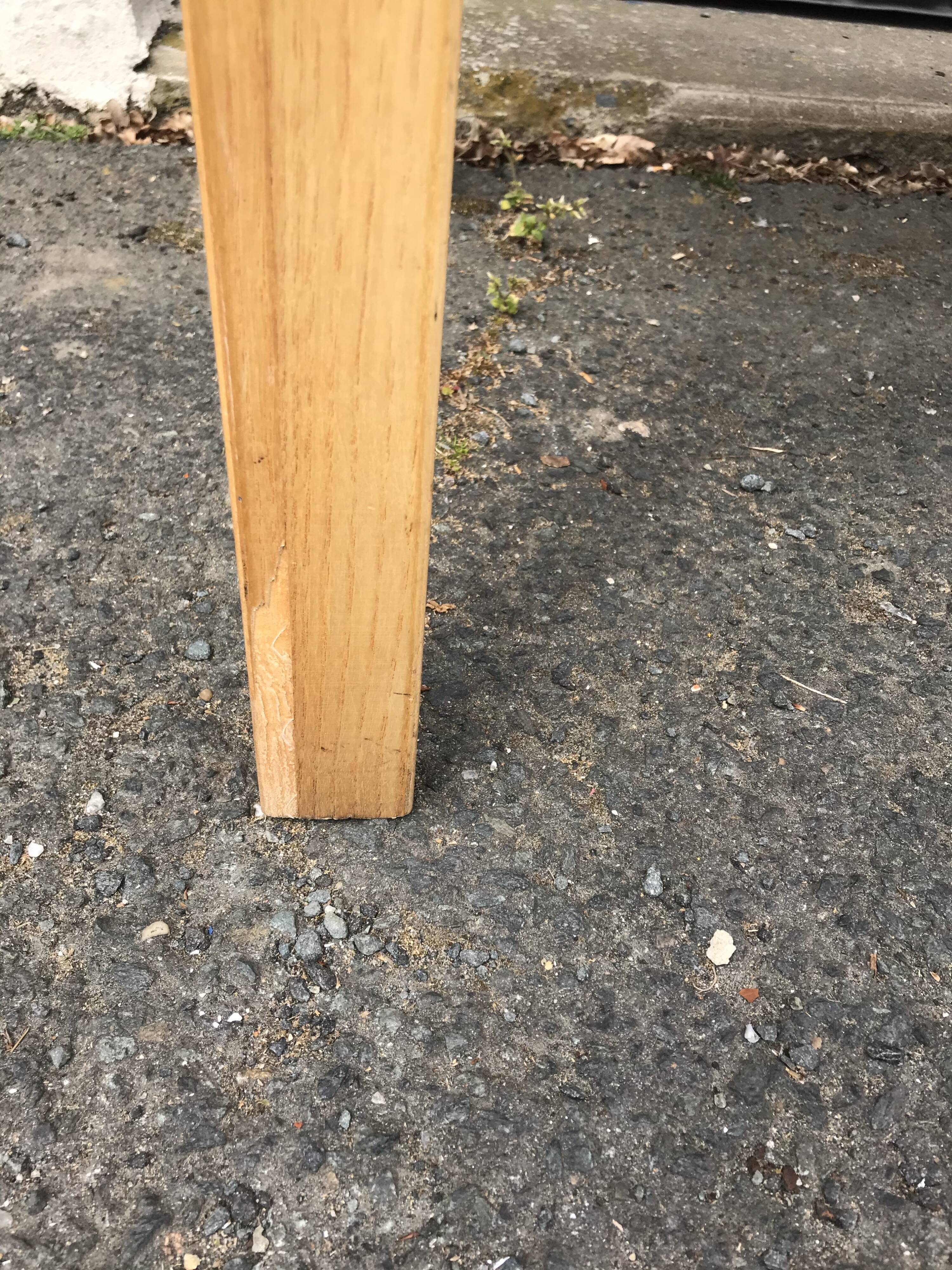 Pair of canne chairs