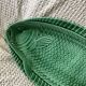 Plat vert poisson Sarreguemines