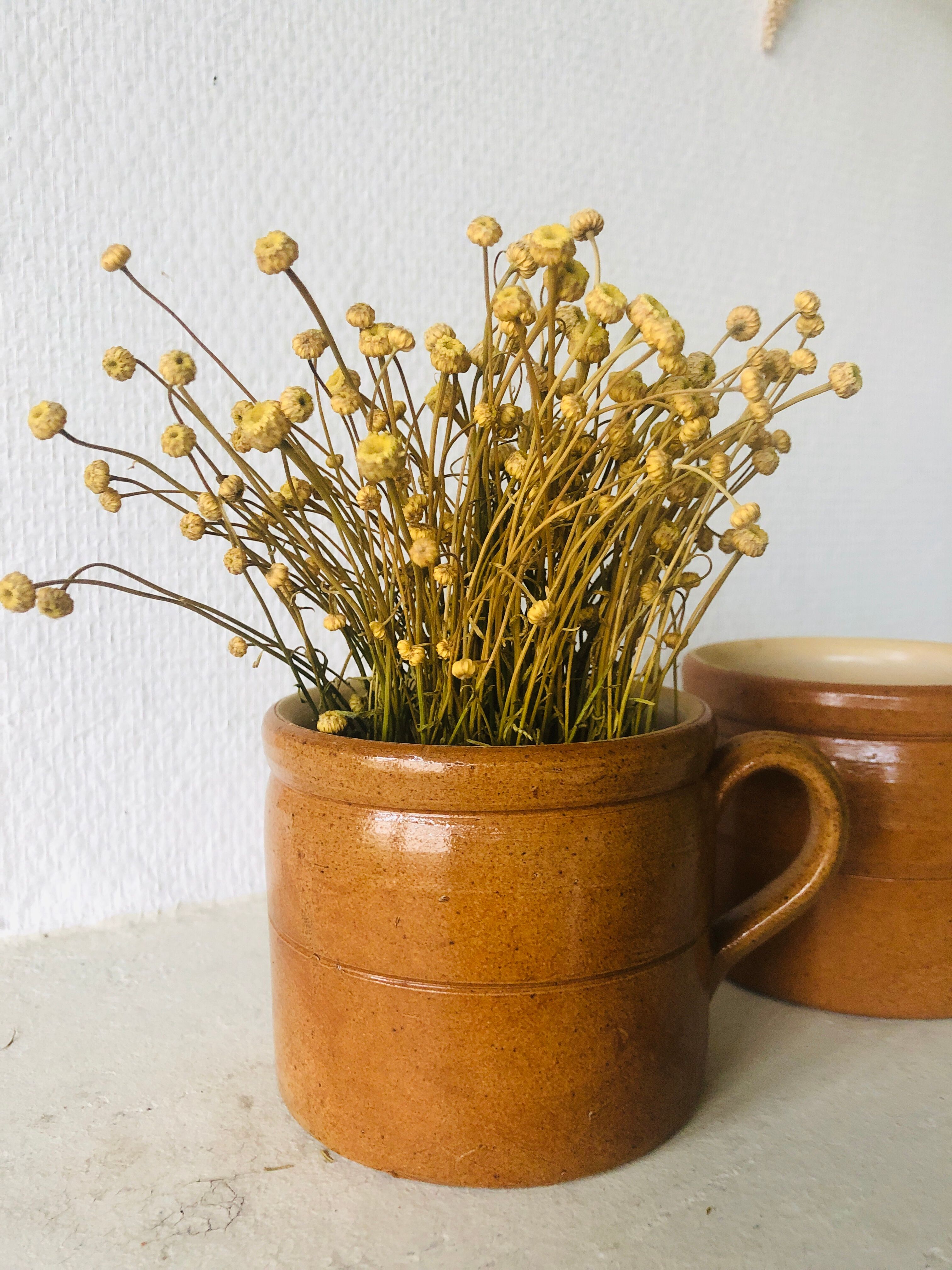 Set of 2 sandstone mugs