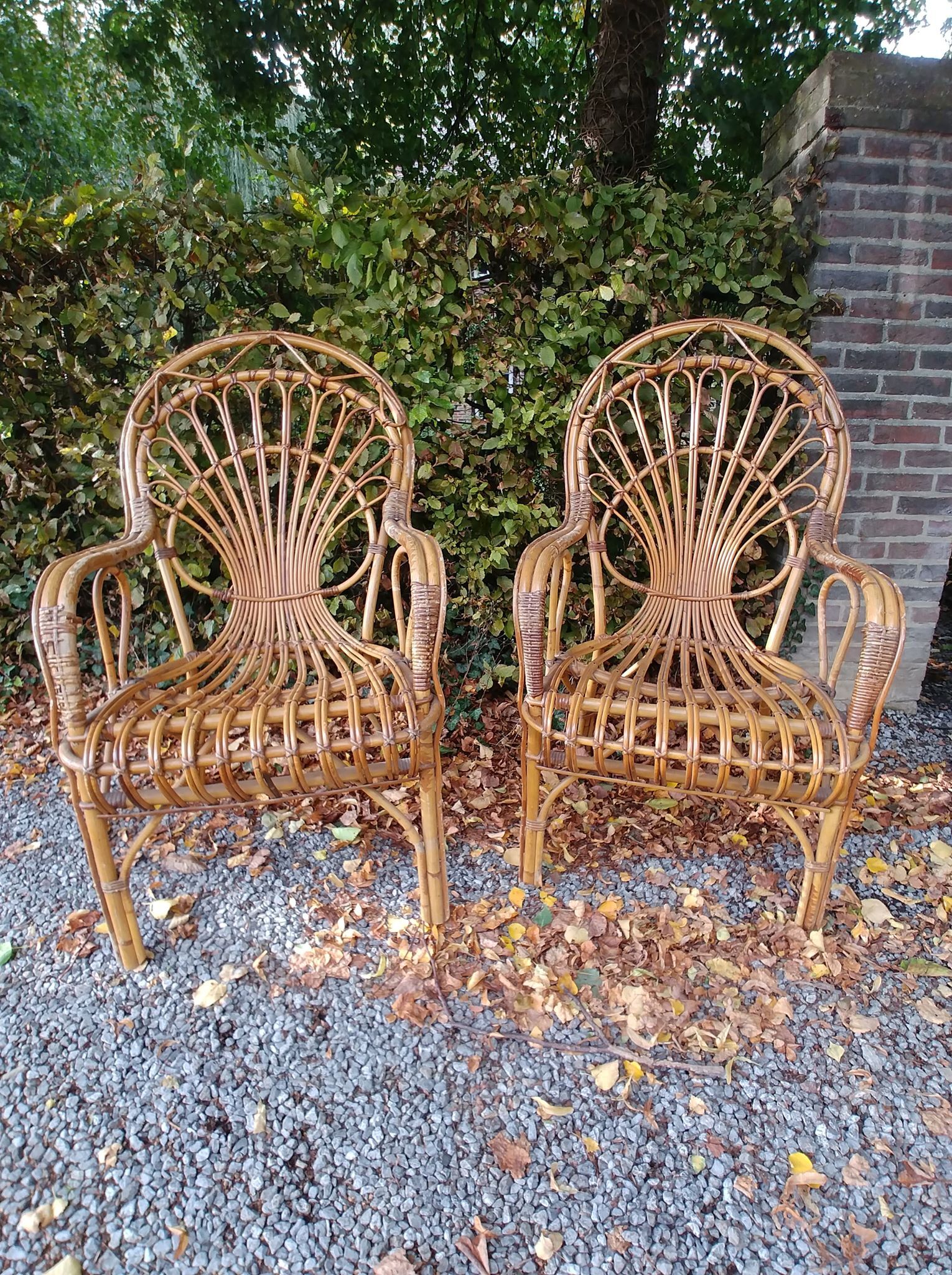 Pair of rattan chairs - 1970