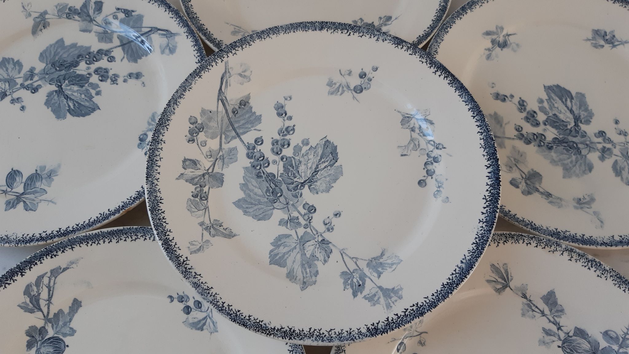 Set of 6 flat plates Terre de Fer U&C Sarreguemines model "Groseilles" late nineteenth