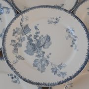 Set of 6 flat plates Terre de Fer U&C Sarreguemines model "Groseilles" late nineteenth