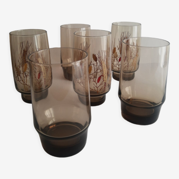 Set de 6 verres à eau en verre fumé Tivoli années 70 vintage