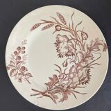 Flat plates iron earth