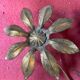 Pair of wall lamps 1970 gilded metal 3 lights