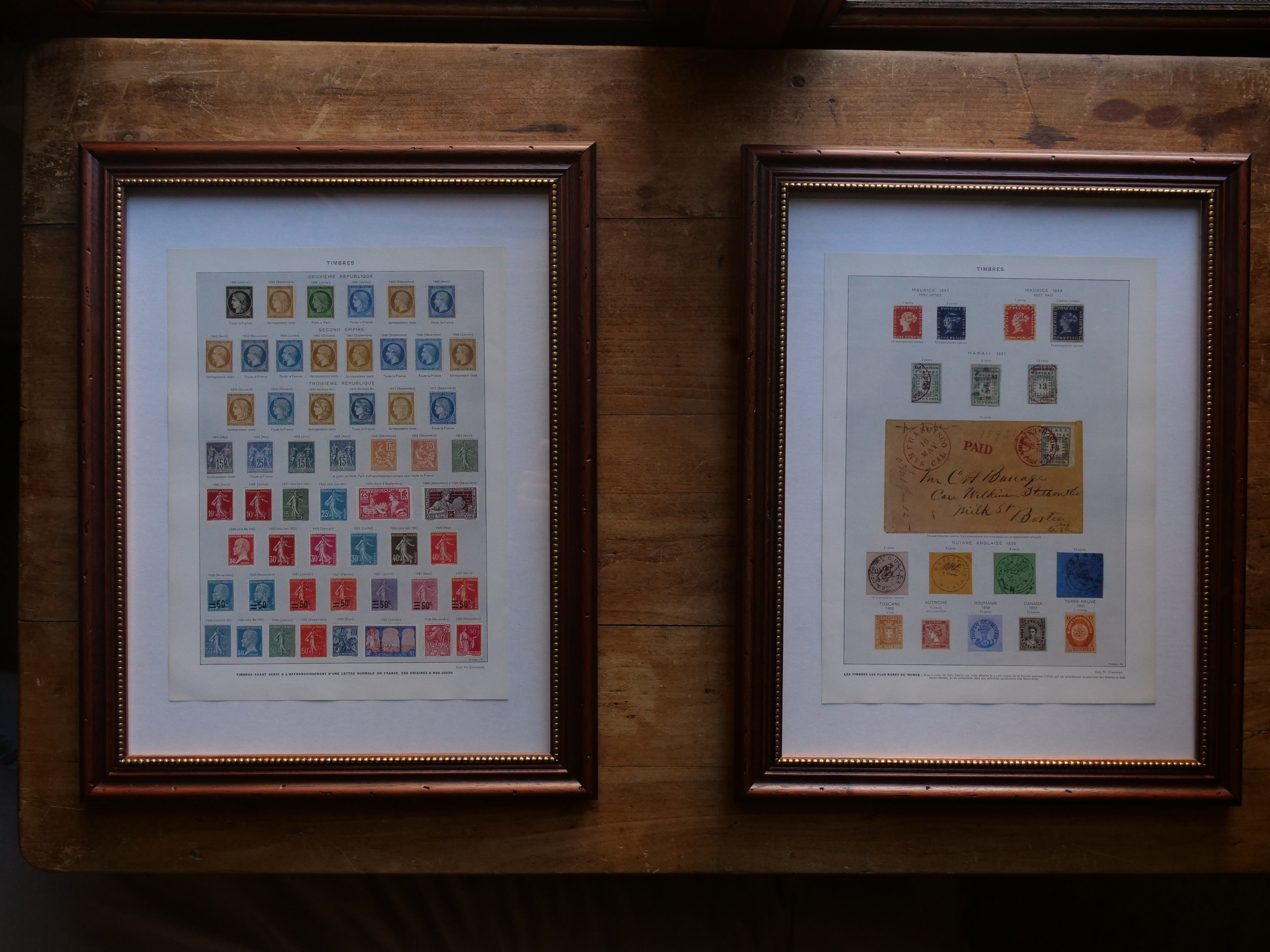 Original lithographs on medicinal plants