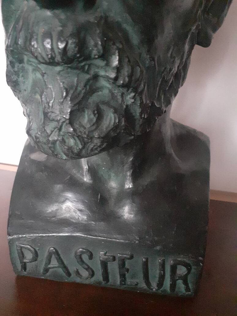 Large plaster bust of Louis Pasteur