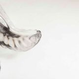 Empty floral pocket crystal of transparent arques signed