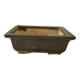 Pot bonsaï ou cactus rectangulaire vert