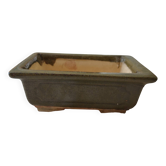 Pot bonsaï ou cactus rectangulaire vert