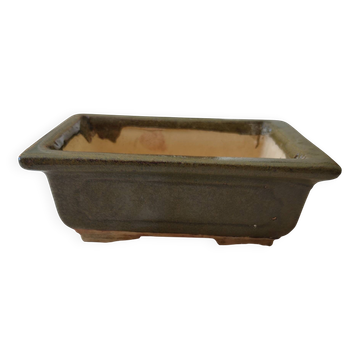 Bonsai pot or green rectangular cactus