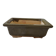 Pot bonsaï ou cactus rectangulaire vert