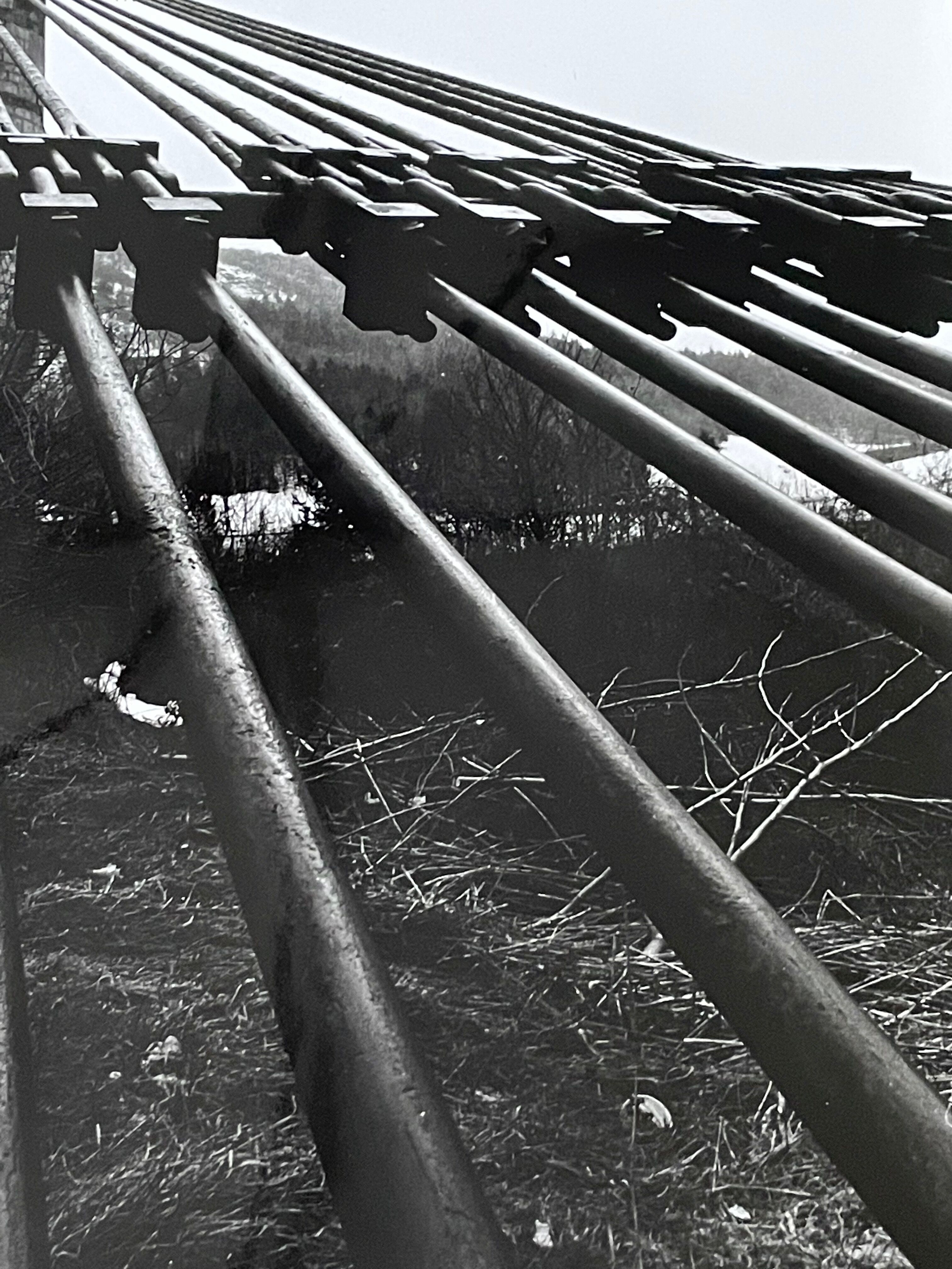 Photograph black and white silver print circa 1970 architecture