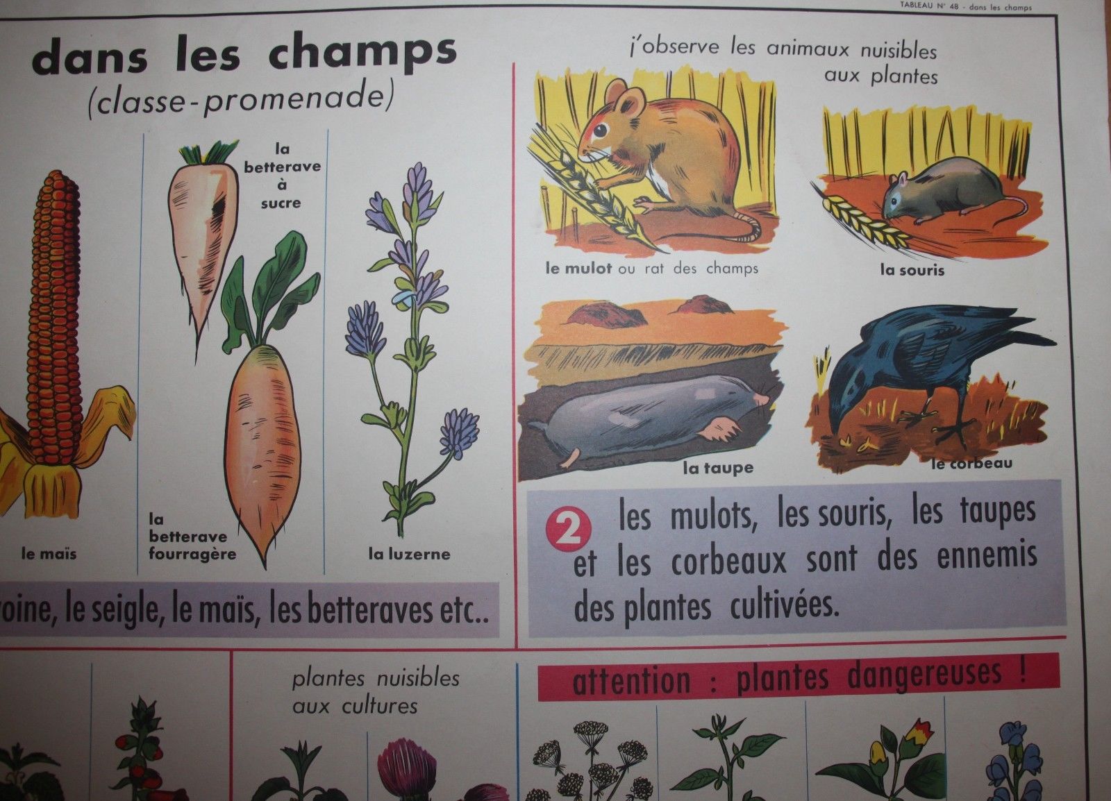 Poster school vintage MDI in the fields and garden 47 and 48