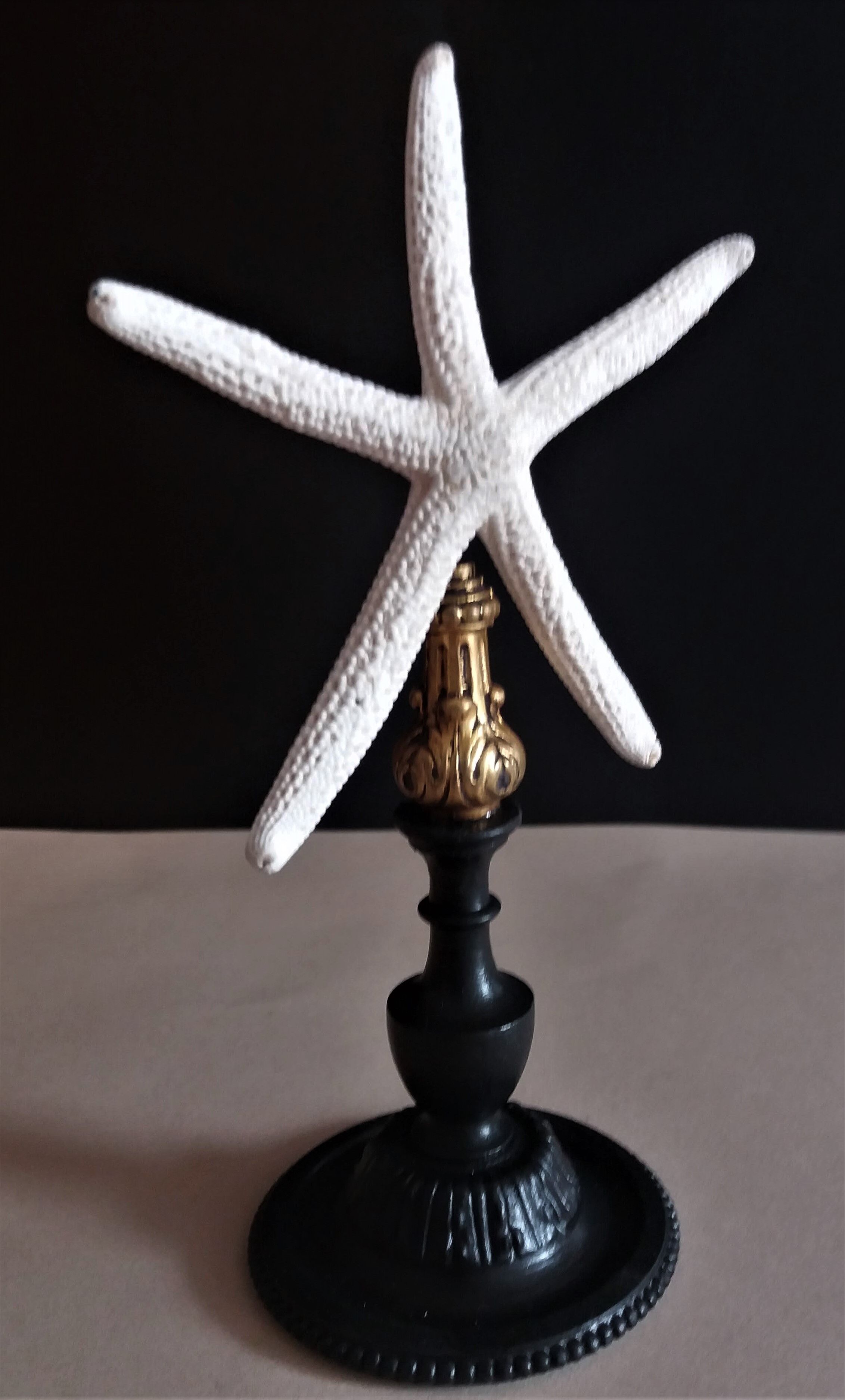 Sea star linckia laevigata