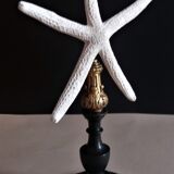 Sea star linckia laevigata