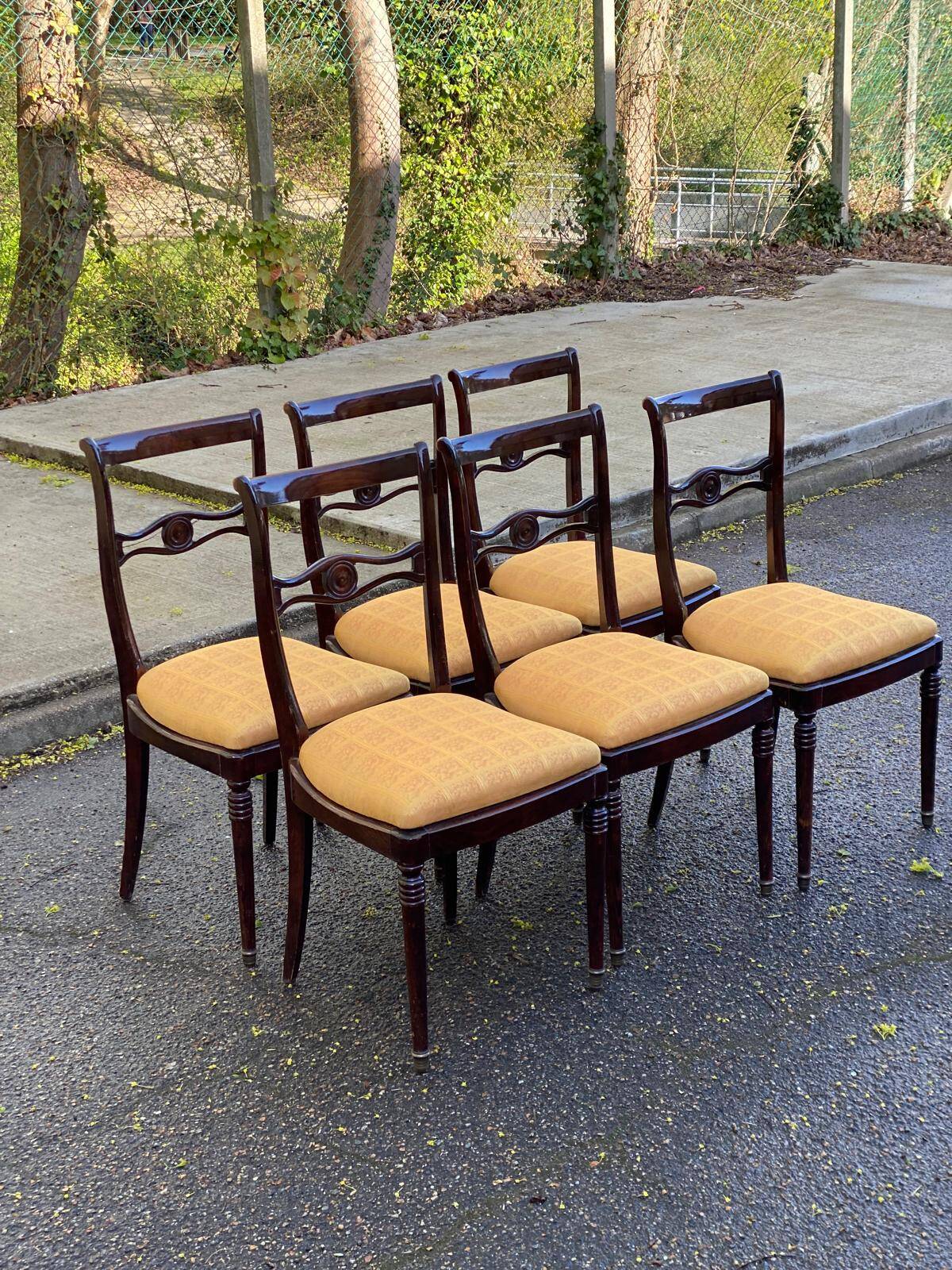 6 dining chairs made of solid mahogany in Regency style with yellow fabric.