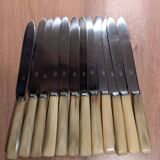 Set of 25 horn and stainless steel knives