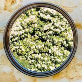 Vintage round smoked plastic mirror, circa 1970s.