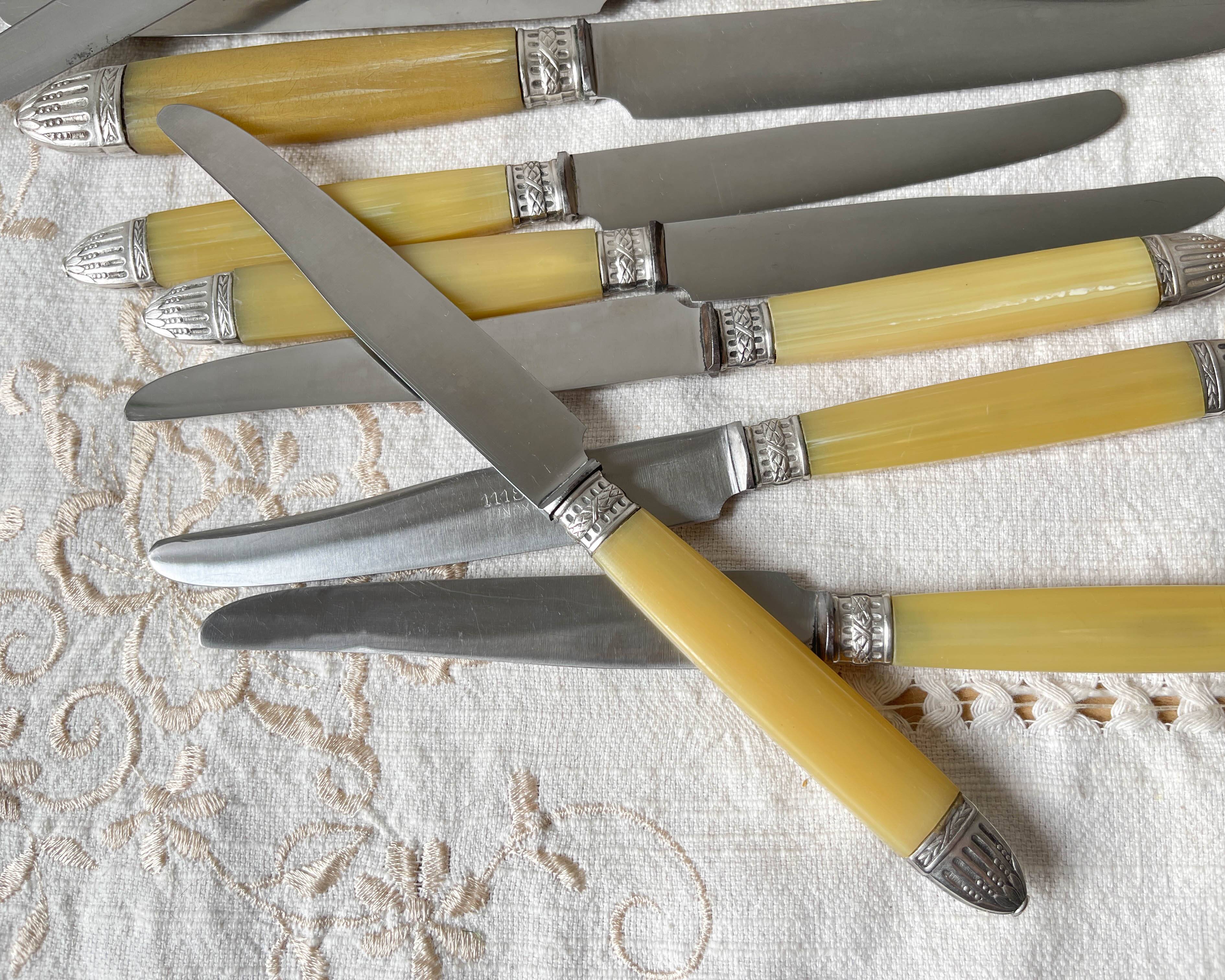 12 couteaux vintage bakélite Inox Pradel