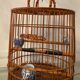 Ancienne cage à oiseaux en bois et rotin