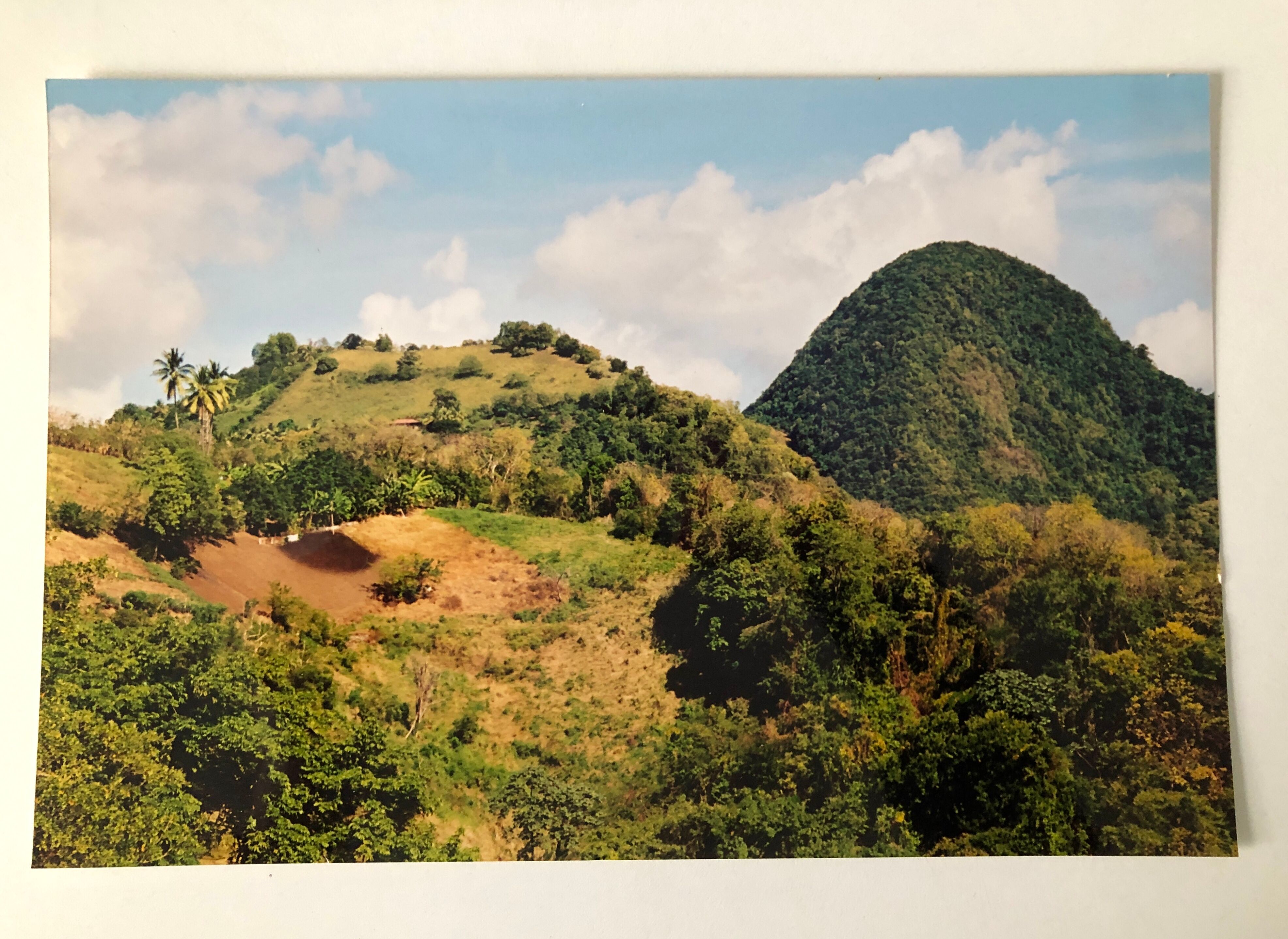 Photo Couleur Paysage Tropical