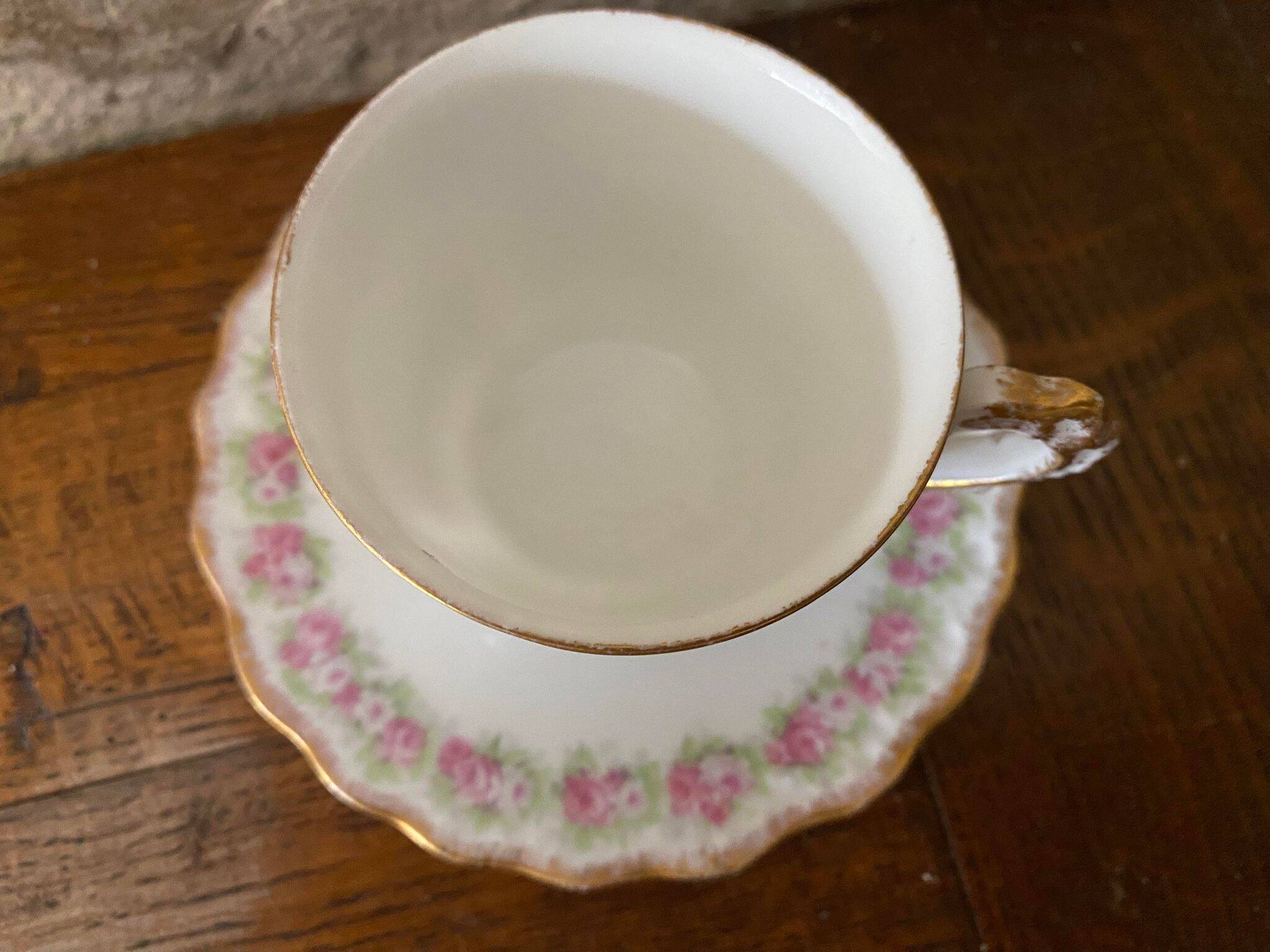 Cup and saucer Limoge porcelain decoration frieze of roses