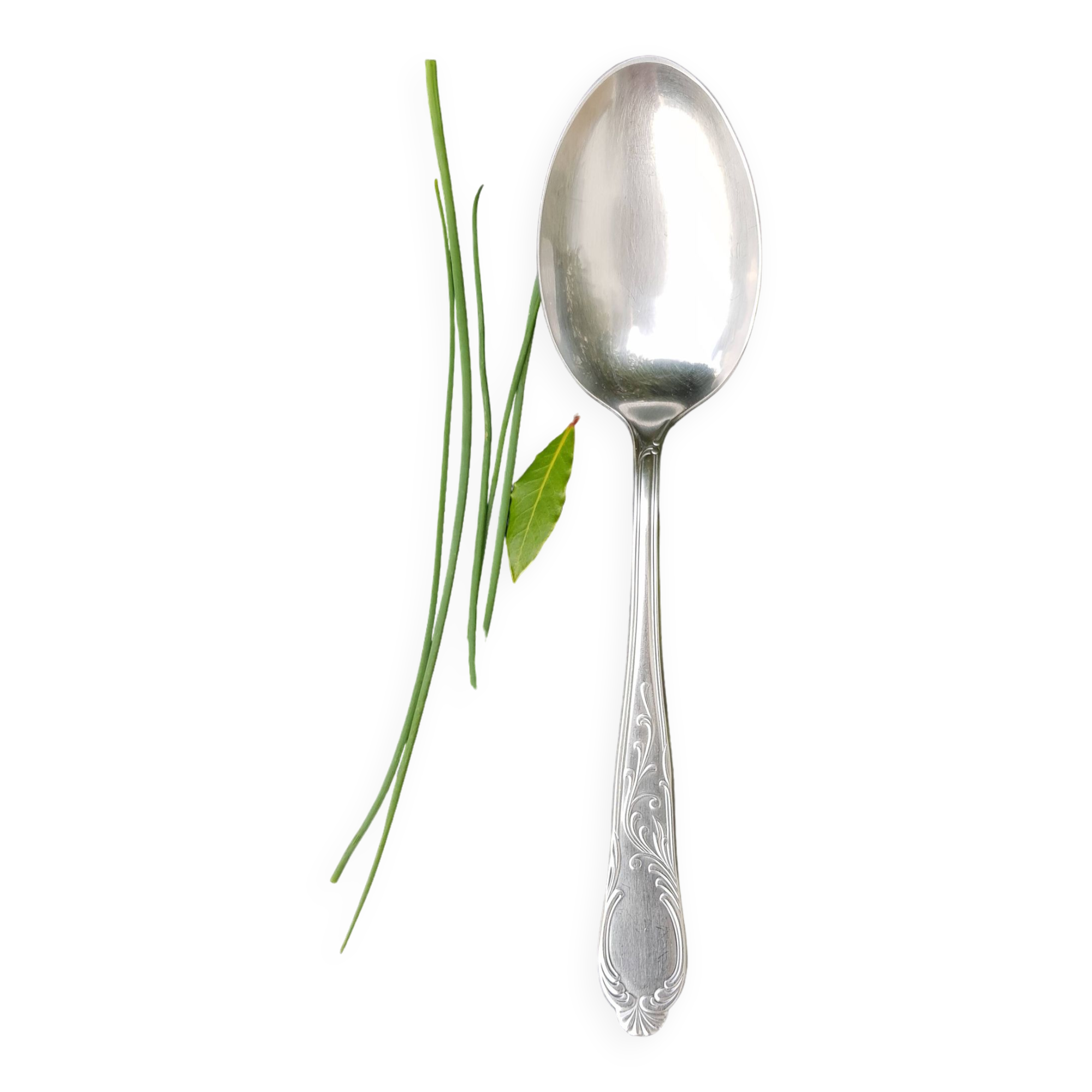 Sauce or dish spoon
