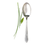 Sauce or dish spoon