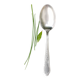 Sauce or dish spoon