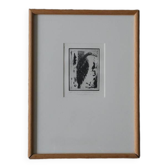 Vintage Graphic, Cactaceae, Blackversion, Engraving, Framed