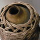 Bouteille gourde de vigneron ancienne