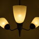 Mid-century Chandelier by Drukov,1960's.