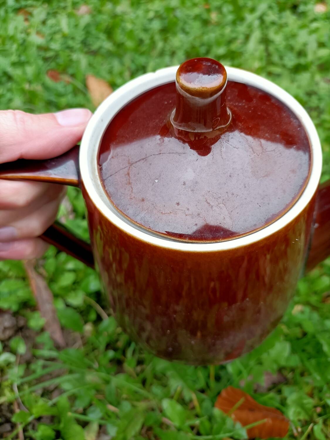 Coffee/Teapot ~ Villeroy and Boch