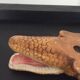 Empty vintage ceramic crocodile pocket
