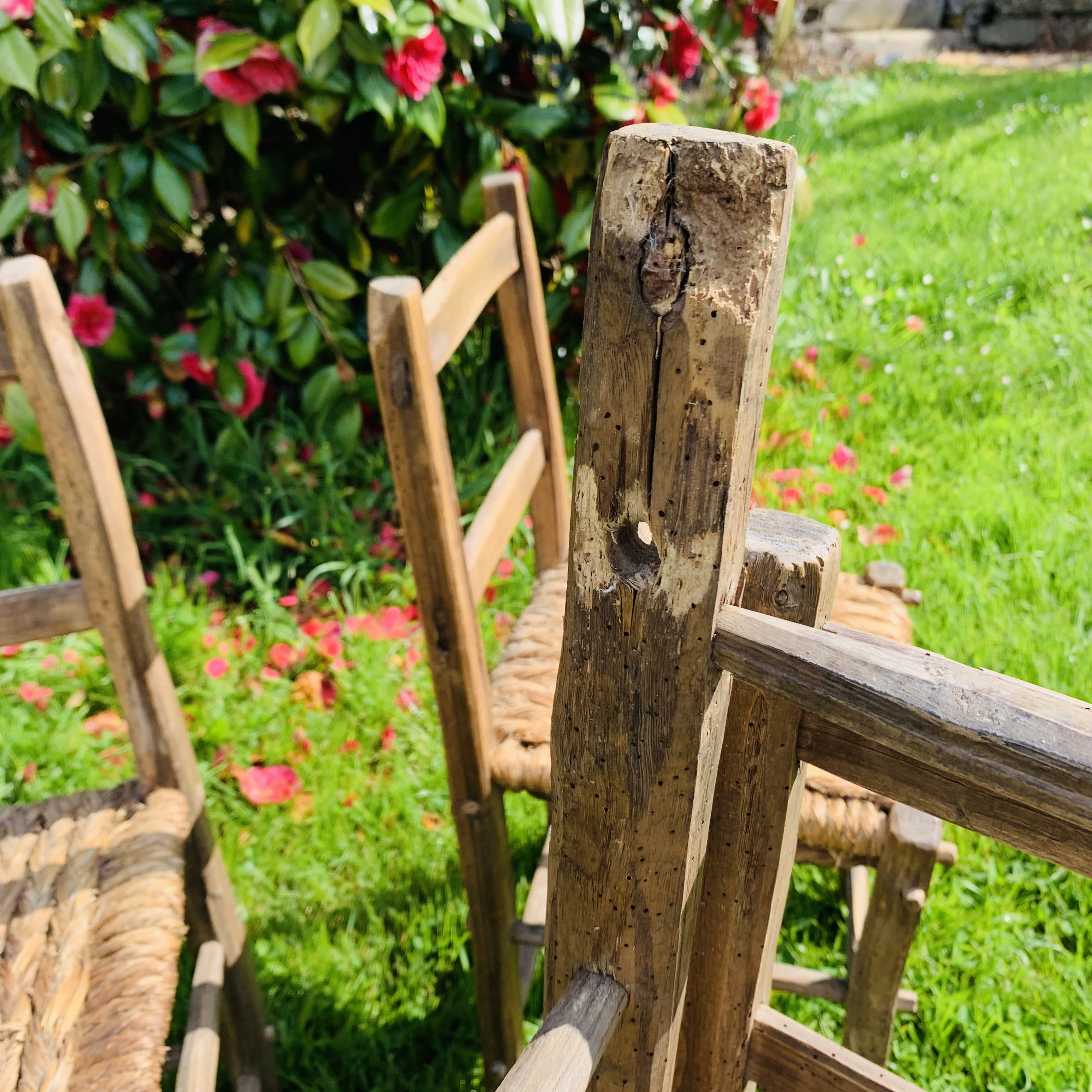 Ensemble de 6 chaises paillées