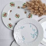 Porcelain dinner plates