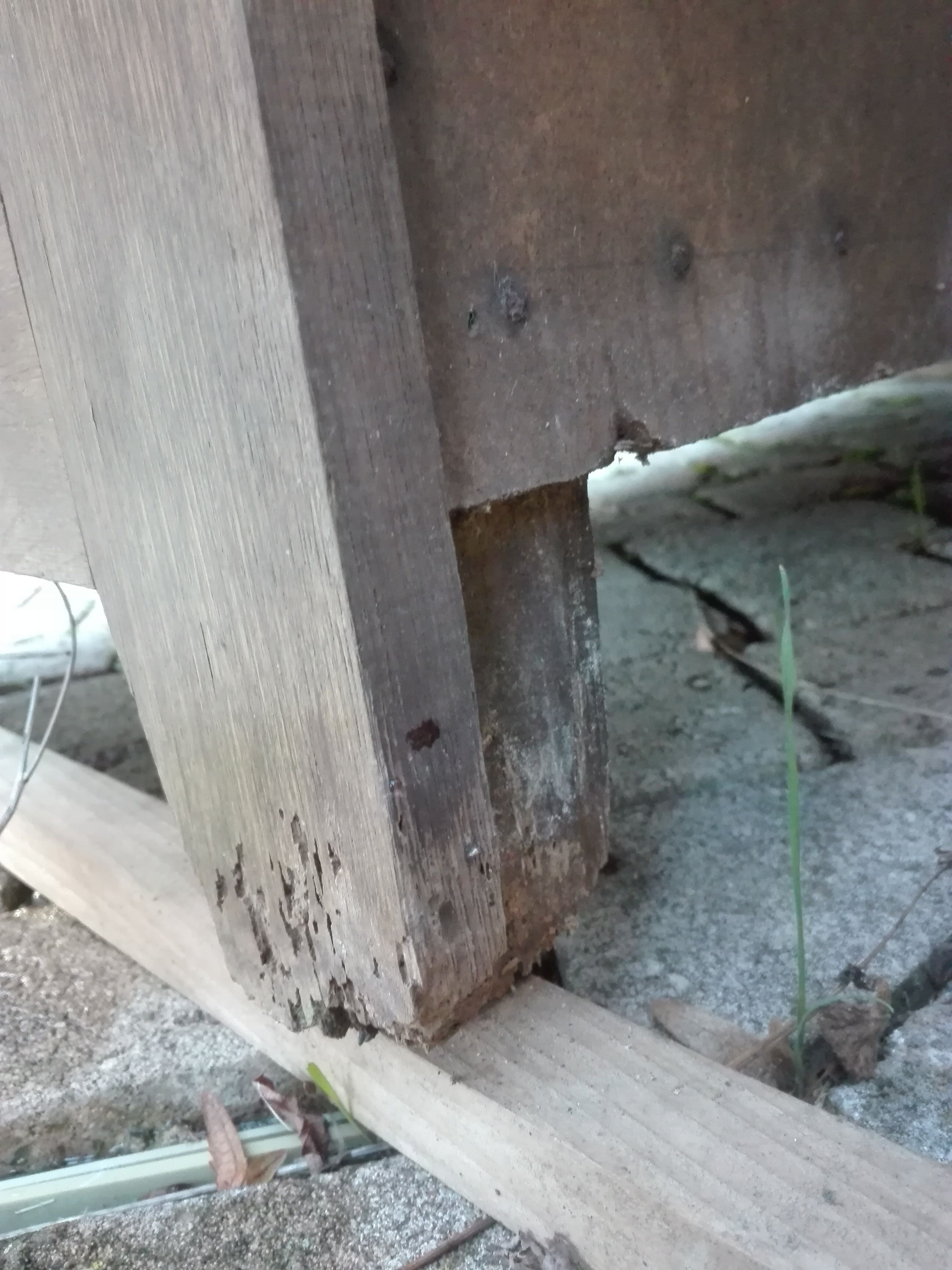 Fridge cooler of meat