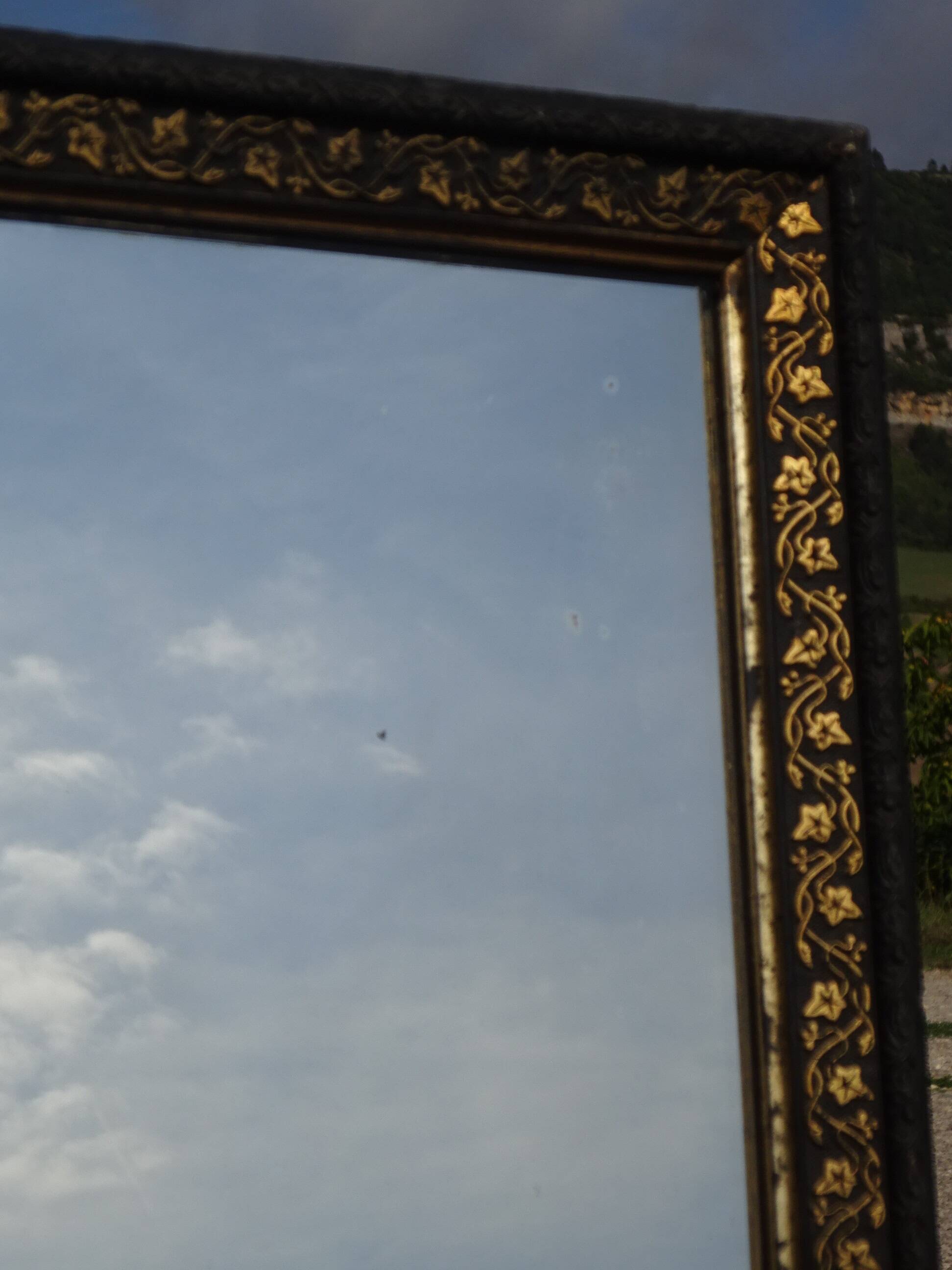 Mirror with black and gold frame, embossed vine leaves