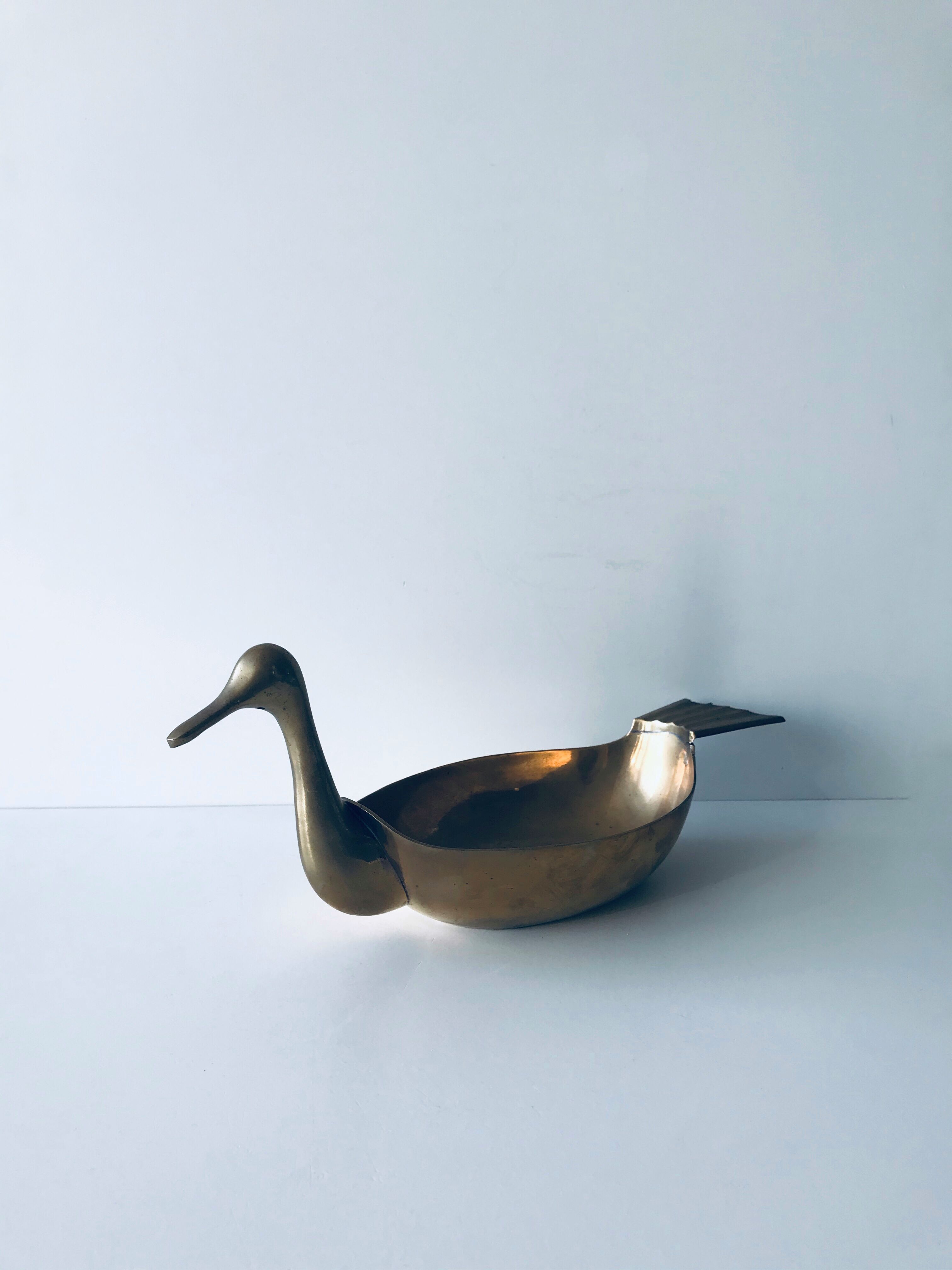 Empty brass duck empty pocket