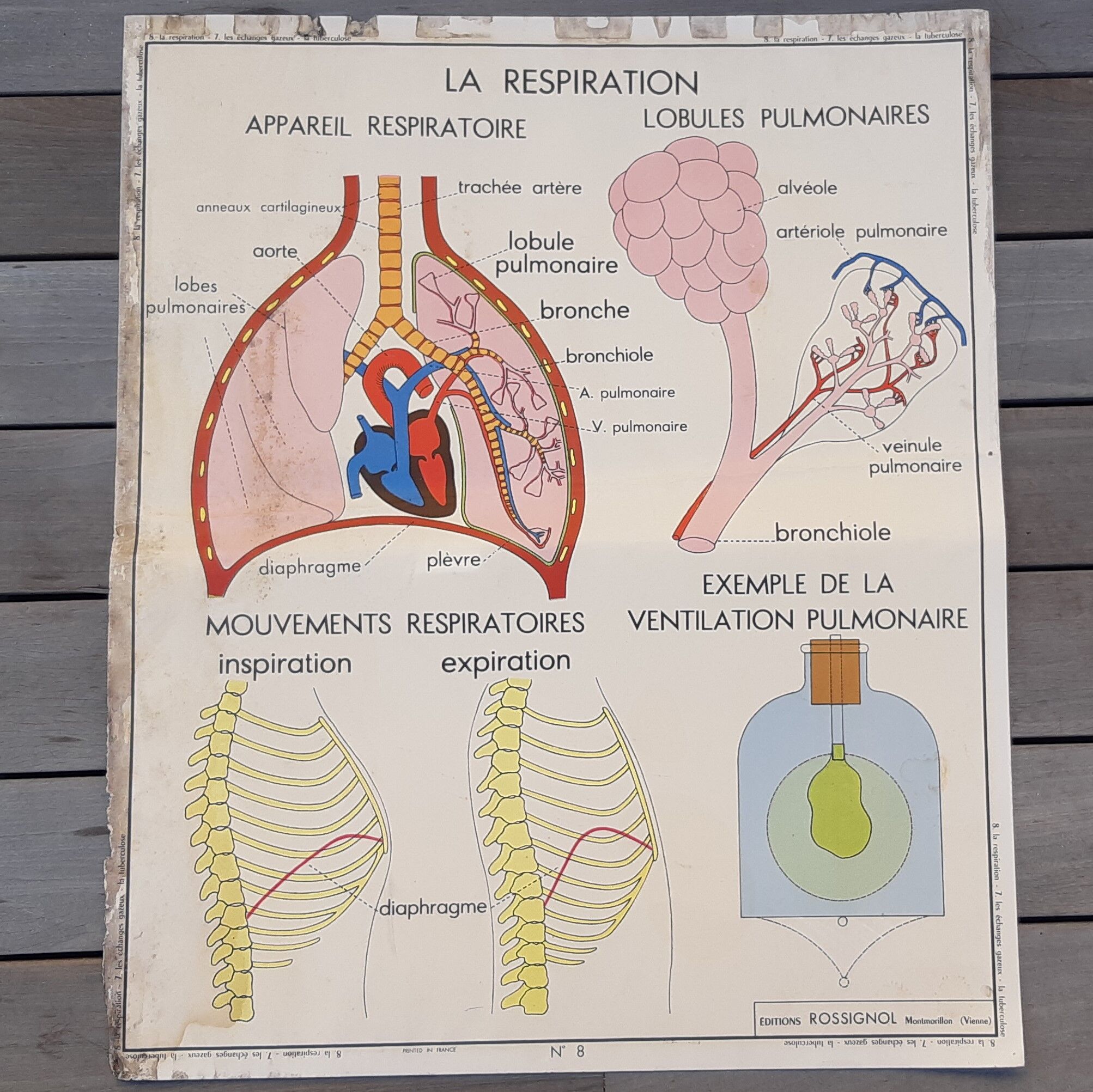 Rossignol educational poster