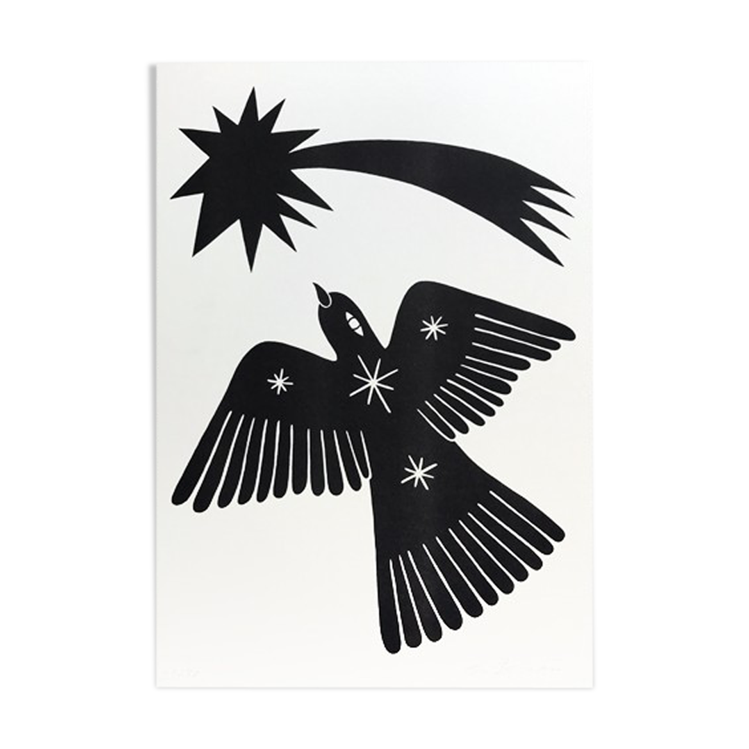 The Cosmic Bird