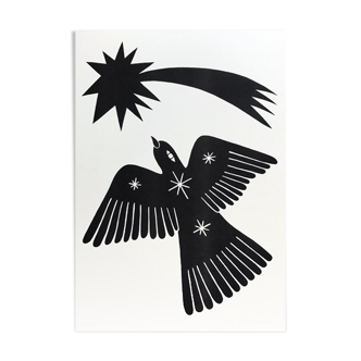 The Cosmic Bird