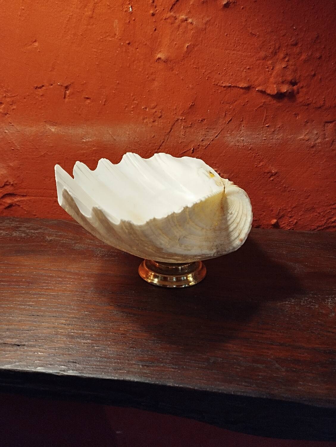 Shell on base, holy water font