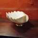 Shell on base, holy water font