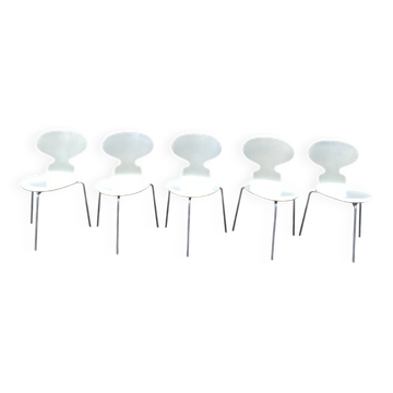 5 ant chairs by Arne Jacobsen